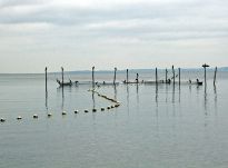 Wreszcie ruszyła budowa wału przeciwpowodziowego