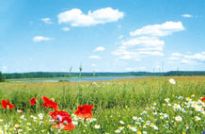 Łatwiejsze odrolnienie gruntów